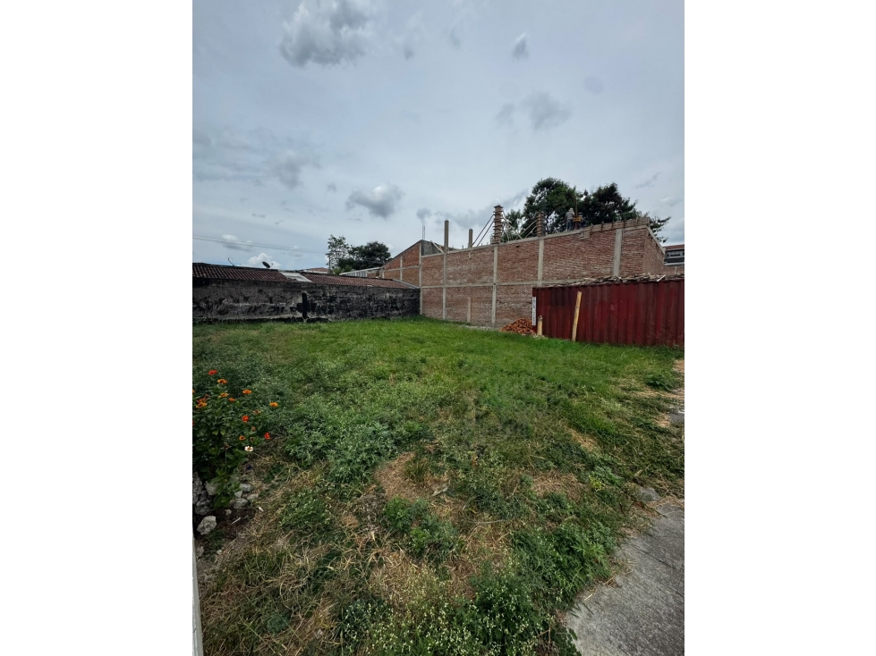 VENDO LOTE DE 360M2 EN EL B/. LA MERCEDES PALMIRA-VALLE(FG)W:10214640 — foto 2
