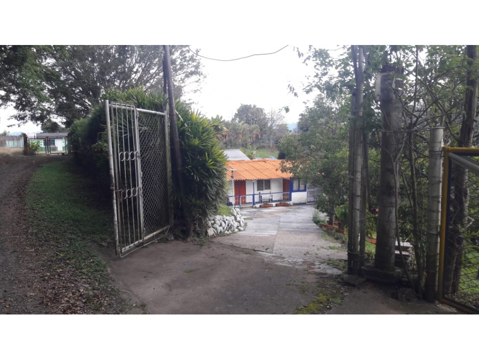VENDO HERMOSA FINCA EN LA VEREDA DEL MANGO-PIENDAMO(JS)CW:6484340 - 2