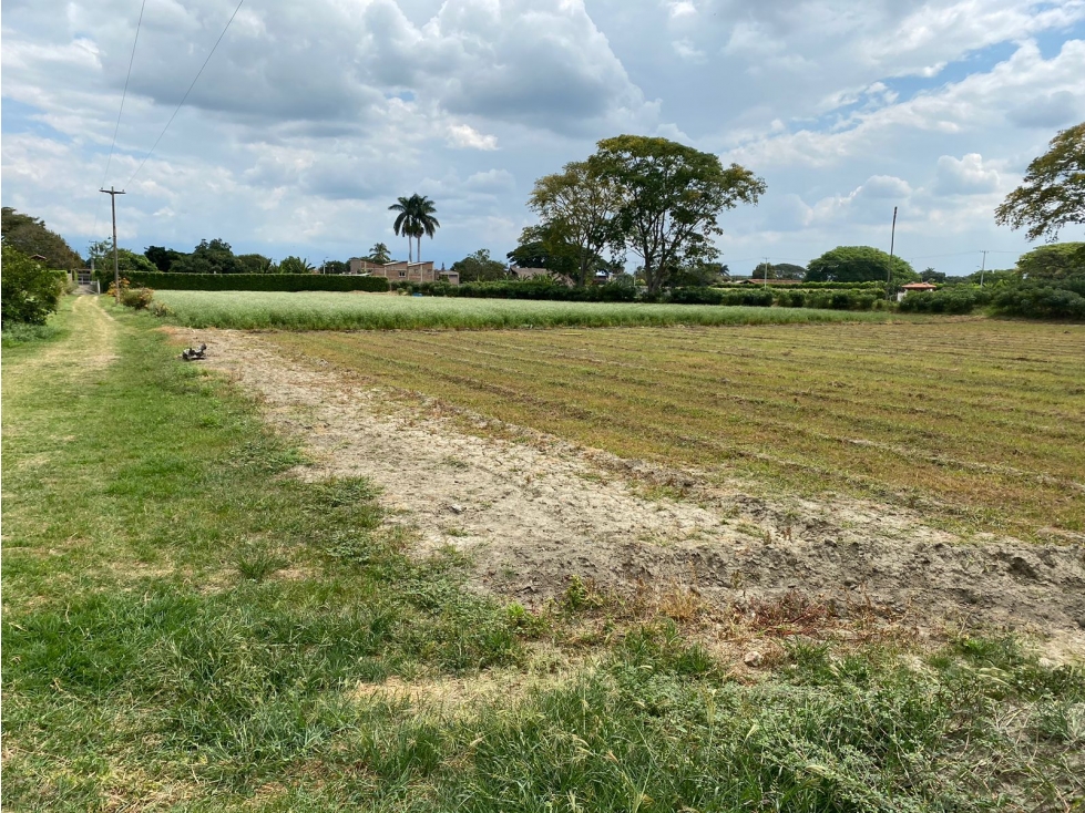 VENDO LOTE GANADERO DE 46500M2 EN ROZO-SECTOR RECREO(FG)CW:7341789 — foto 2