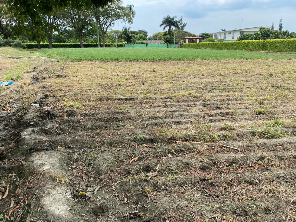 VENDO LOTE GANADERO DE 46500M2 EN ROZO-SECTOR RECREO(FG)CW:7341789 — foto 4