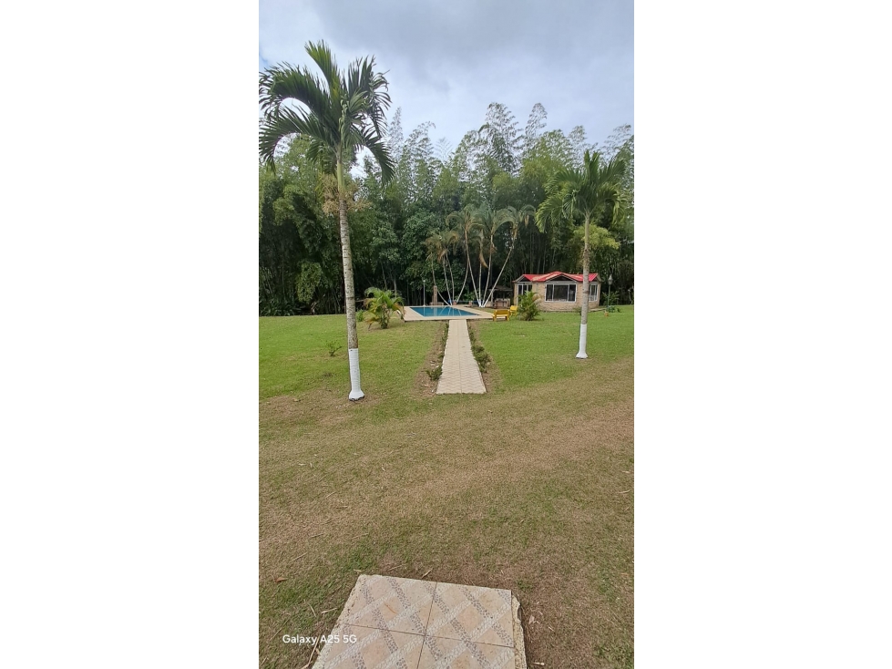 VENDO FINCA PRODUCTORA EN RESTREPO DE 15.700M2(BV)W:10241418 - 3