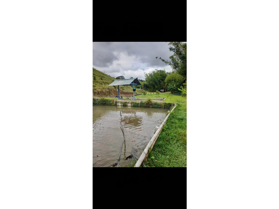 VENDO HERMOSA CASA CAMPESTRE EN LAGO CALIMA-JIGUALES(YL)CW:9326010 - 3