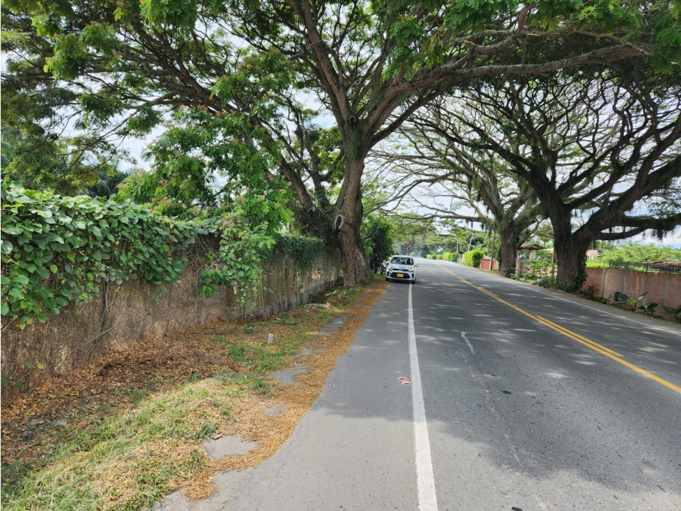 VENDO LOTE DE 10000M2 A BORDE DE CARRETERA EN ROZO(FG)CW:7341861 — foto 3