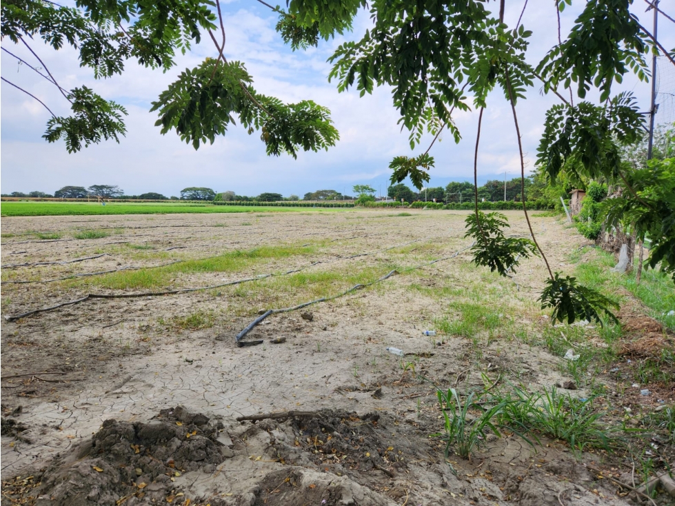 VENDO LOTE DE 85500M2 EN ROZO PARA PARCELAR FG CW:7341829 — foto 2