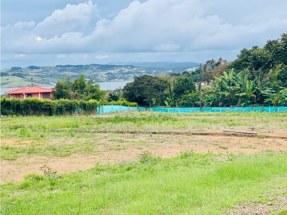 VENDO ESPECTACULAR LOTE EN CALIMA DARIEN (D.M) CW:7748111 - 5