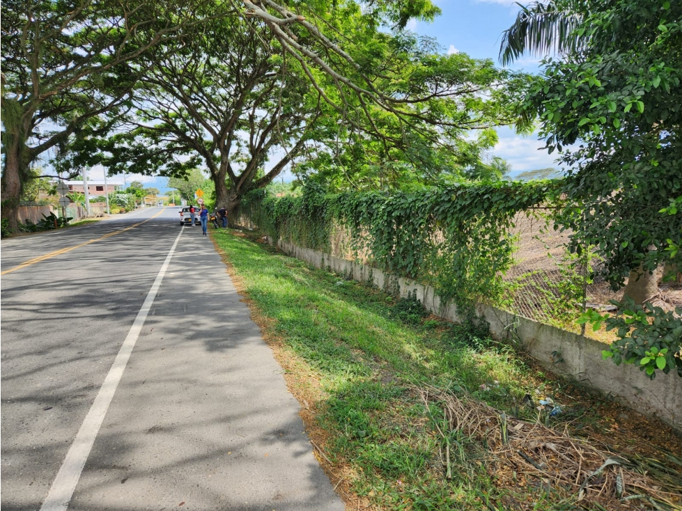 VENDO LOTE DE 10000M2 A BORDE DE CARRETERA EN ROZO(FG)CW:7341861 — foto 4