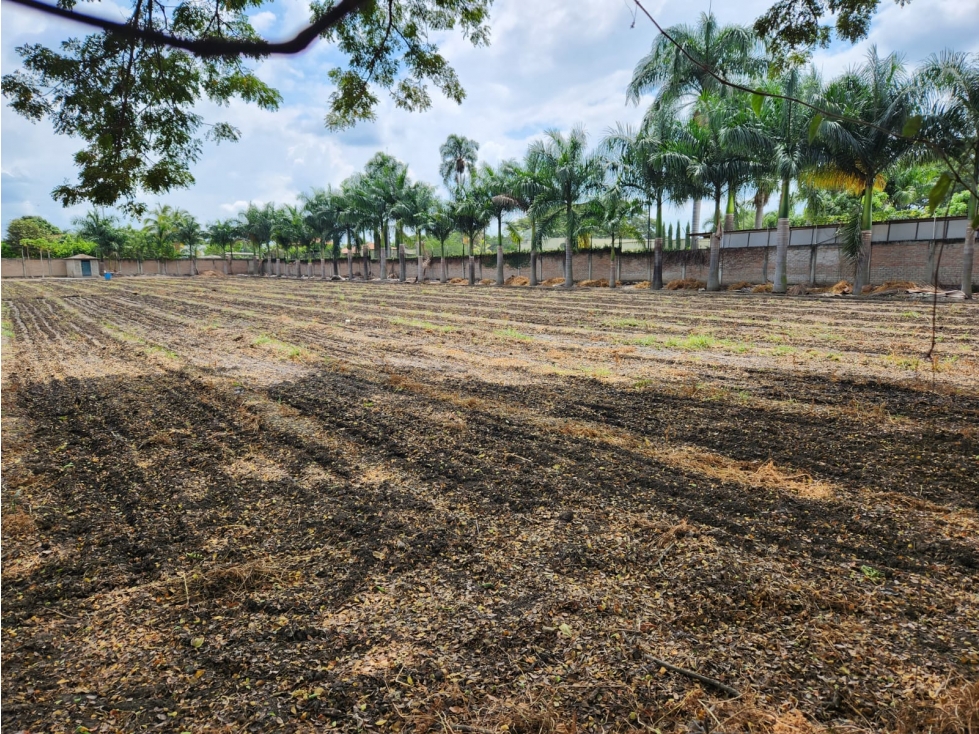 VENDO LOTE DE 10000M2 A BORDE DE CARRETERA EN ROZO(FG)CW:7341861