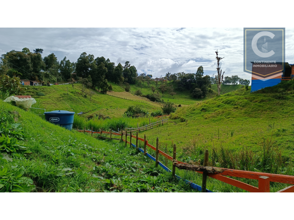 VENTA DE FINCA EN LA VEREDA PANTANILLO - SAN PEDRO