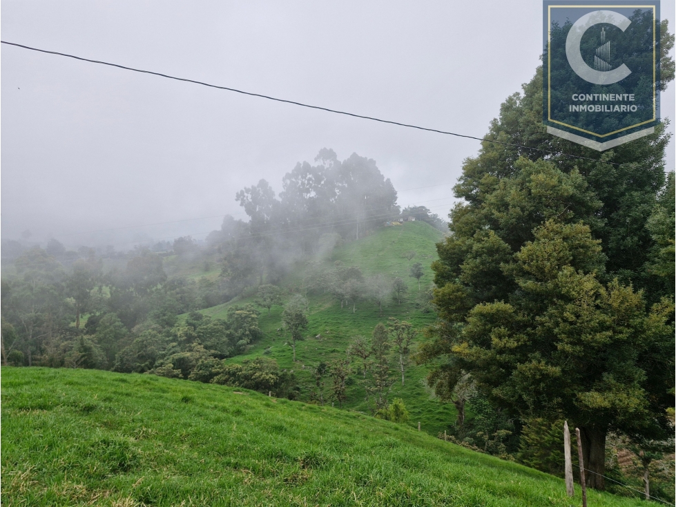 Venta Finca la Palmas pantanillo