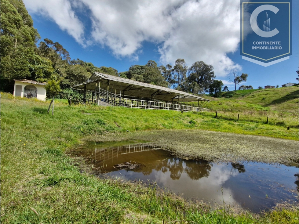 Venta Casa Finca Cerezales San Pedro de los Milagros