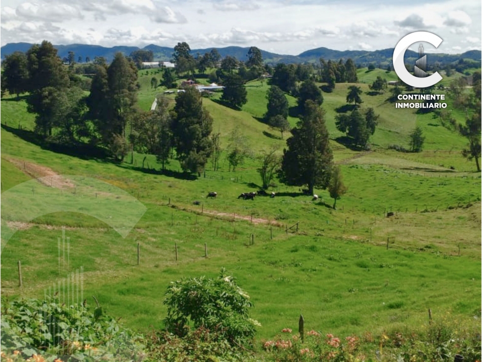 LOTES EN VENTA EN VEREDA SAN FELIX - BELLO ANT — foto 4