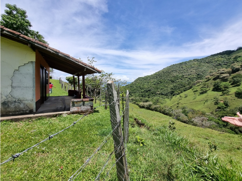 Venta de Lote San Jeronimo vereda Quimbayo - 4