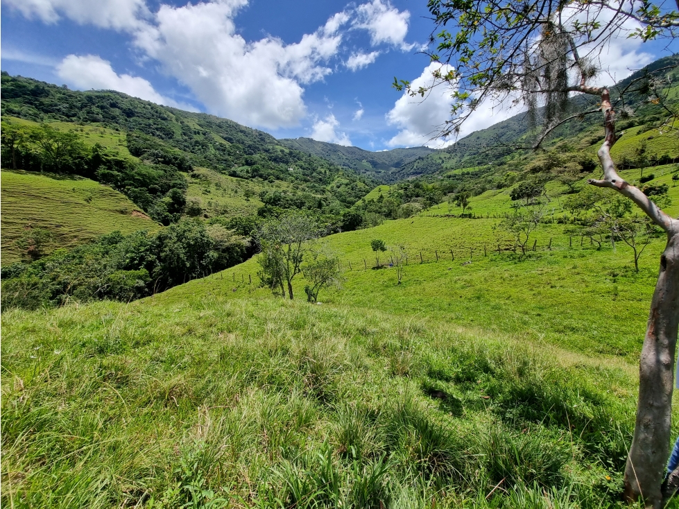 Venta de Lote San Jeronimo vereda Quimbayo - 3