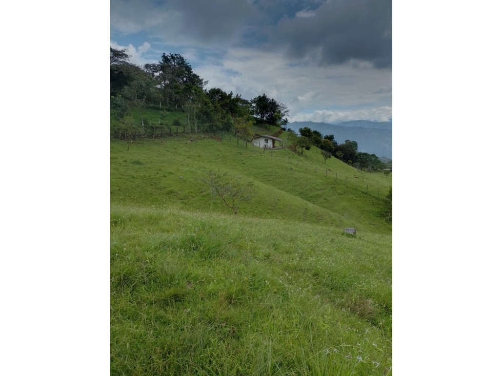 Venta de Lote San Jeronimo vereda Quimbayo - 6