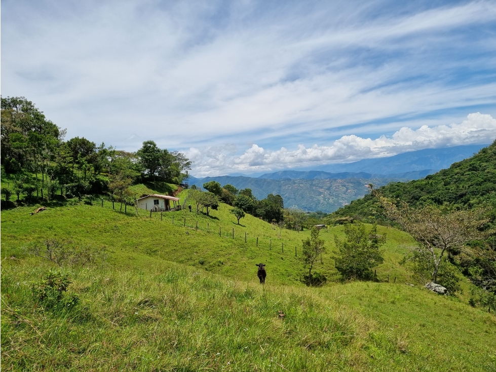 Venta de Lote San Jeronimo vereda Quimbayo - 2