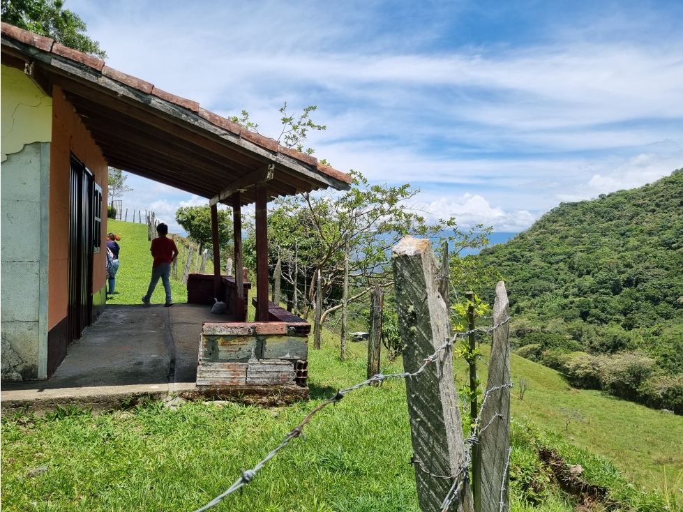 Venta de Lote San Jeronimo vereda Quimbayo - 5