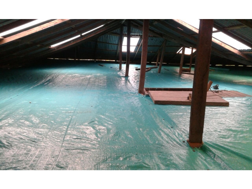 IBAGUÉ / FINCA CAFETERA EN VENTA/VEREDA LAURELES/COCORA - 6