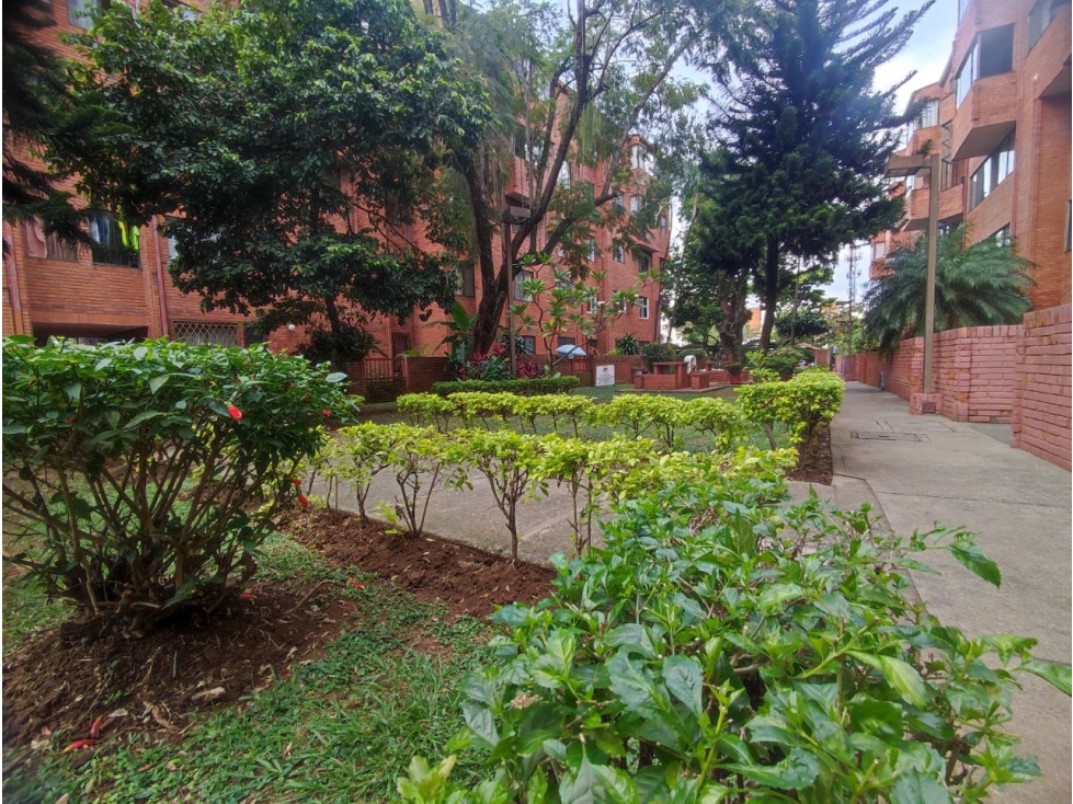 VENDO HERMOSO APARTAMENTO DÚPLEX EN EL BARRIO SANTA ANITA — foto 3