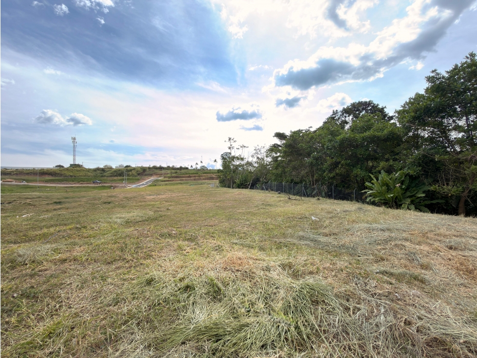 Lote en Cerritos de 2.000 m² Excelente oportunidad de inversión - 2