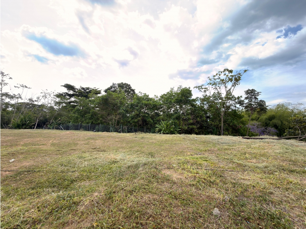 Lote en Cerritos de 2.000 m² Excelente oportunidad de inversión - 3