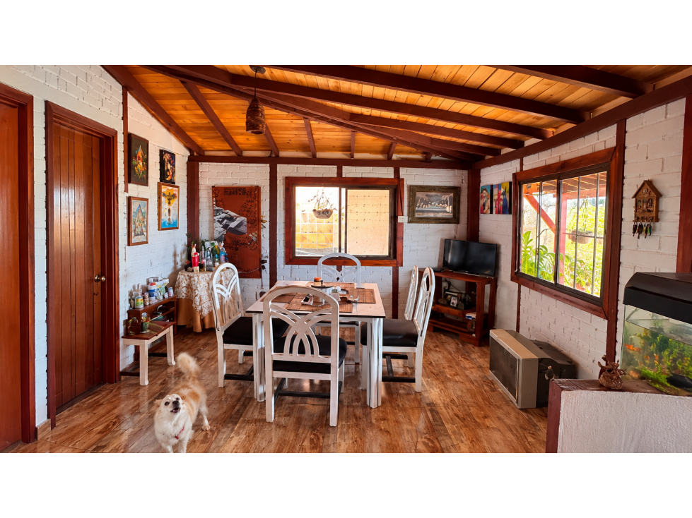 Vendo hermosa finca en la zona rural de Pereira - 3