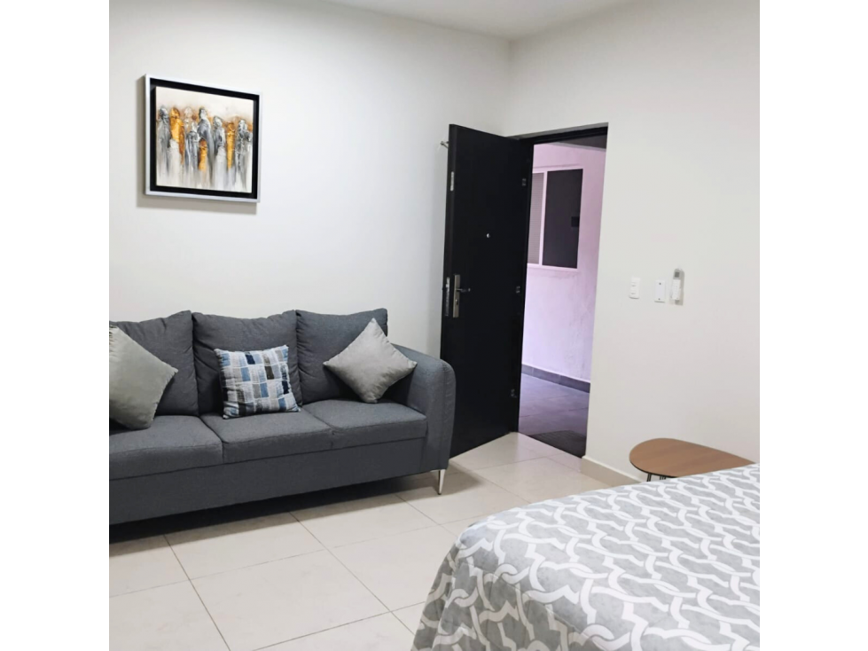 Renta LOFT Zona Sur | Equipado | Ejecutivos / EGADE "D"