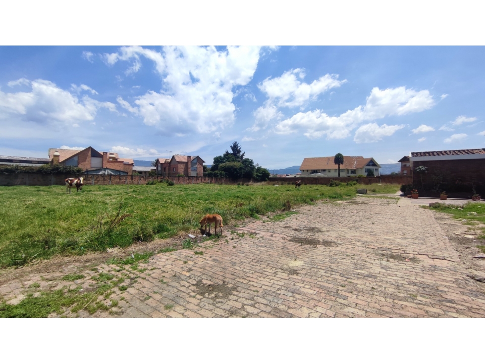 VENDO- ARRIENDO ESPECTACULAR LOTE 6.600 m² SAN JOSE DE BAVARIA — foto 5