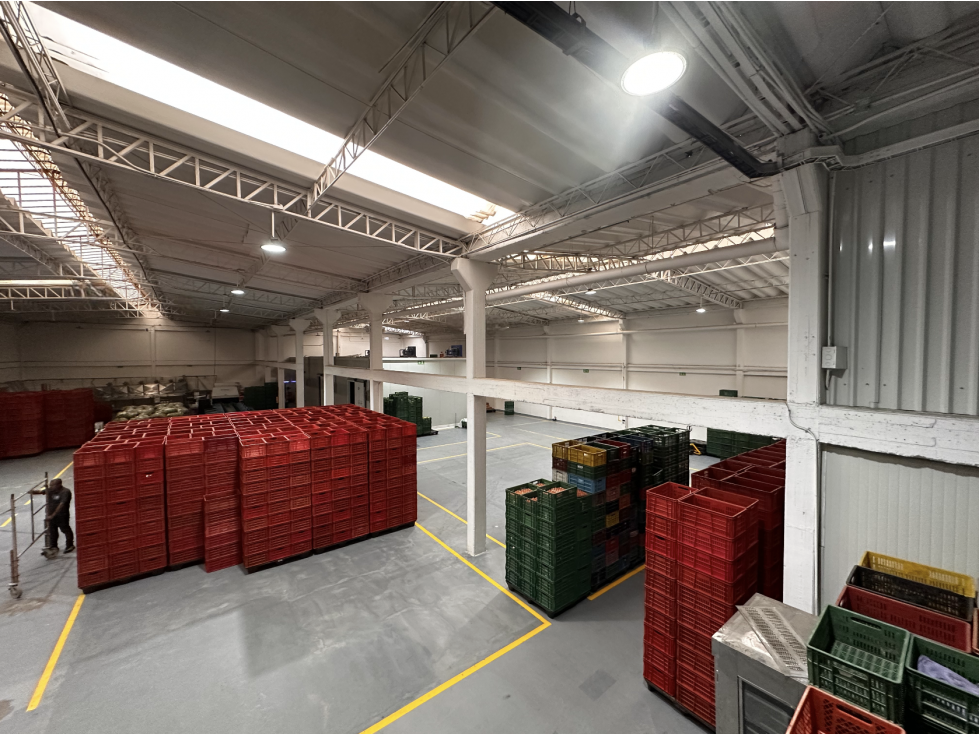 BODEGA DE 1.553,3 m² MONTEVIDEO — foto 4