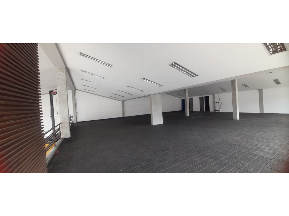 ARRIENDO LOCAL VITRINA ESQUINERO 650 m² PALOQUEMAO - 6