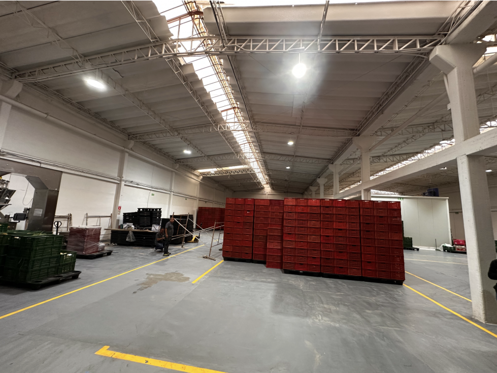 BODEGA DE 1.553,3 m² MONTEVIDEO — foto 6