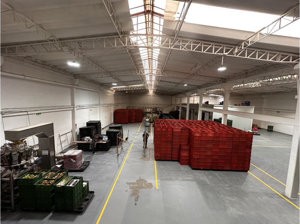 BODEGA DE 1.553,3 m² MONTEVIDEO — foto 5