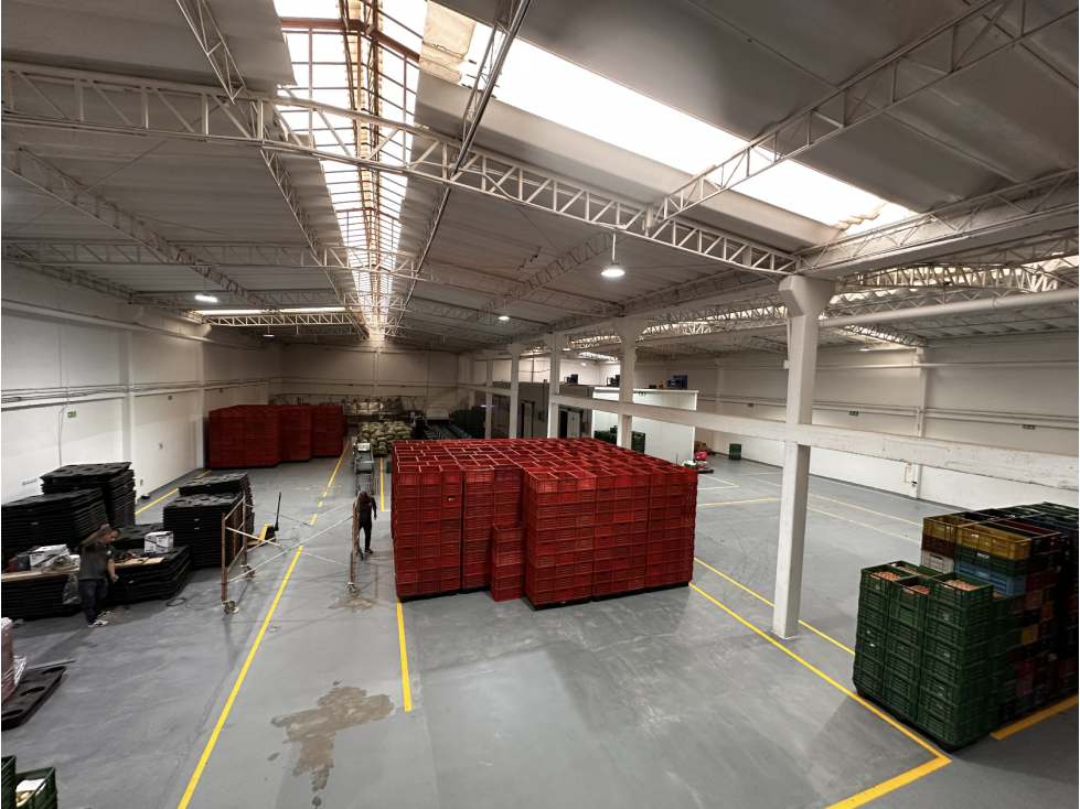 BODEGA DE 1.553,3 m² MONTEVIDEO — foto 3