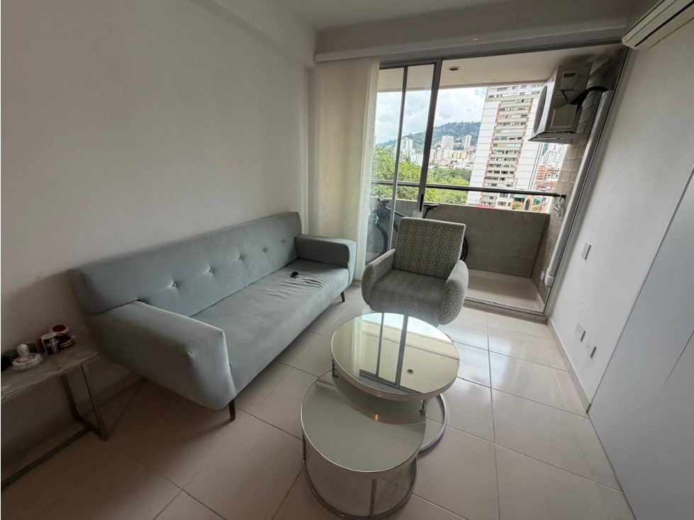 APARTAMENTO EN VENTA EDIF. GREEN GOLD — foto 3