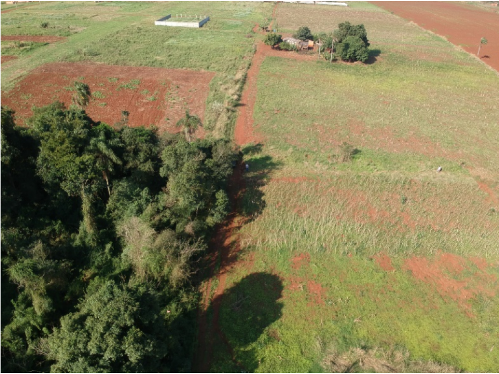 EN VENTA TERRENO EN ALTO PARANA - MINGA GUAZU - 4