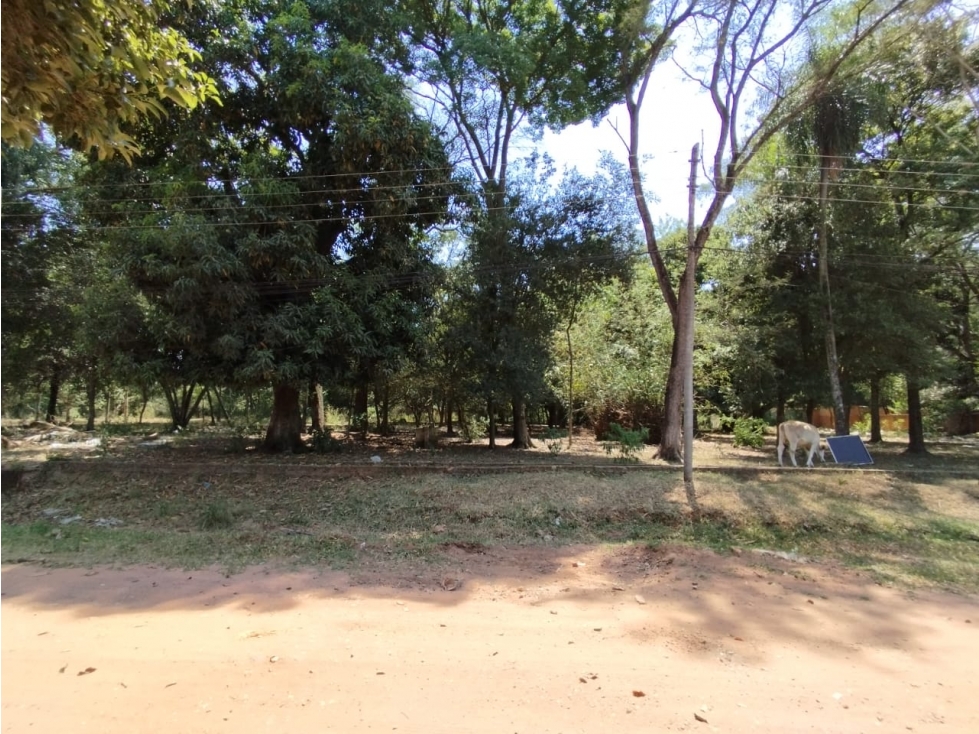 TERRENO ÑUATI - PARAGUARÍ - 2