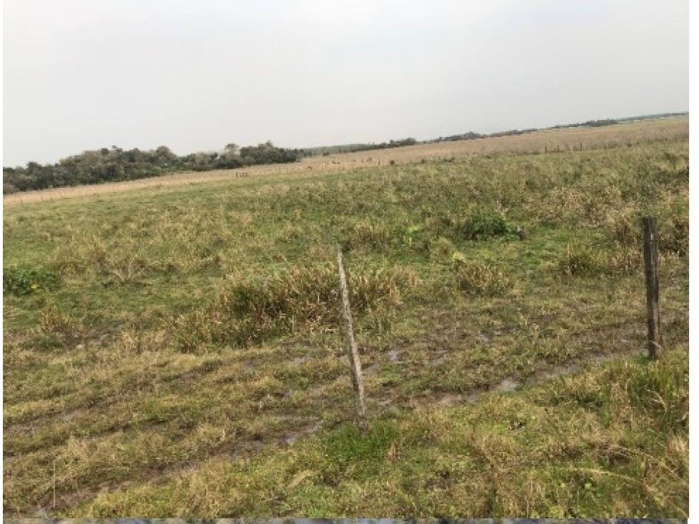 EN VENTA TERRENO SAN JUAN NEPOMUCENO - 6