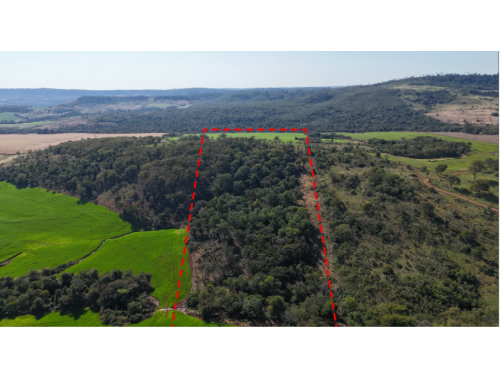 VENDO TERRENO DEPARTAMENTO CAAZAPA LOCALIDAD ABAI. - 6