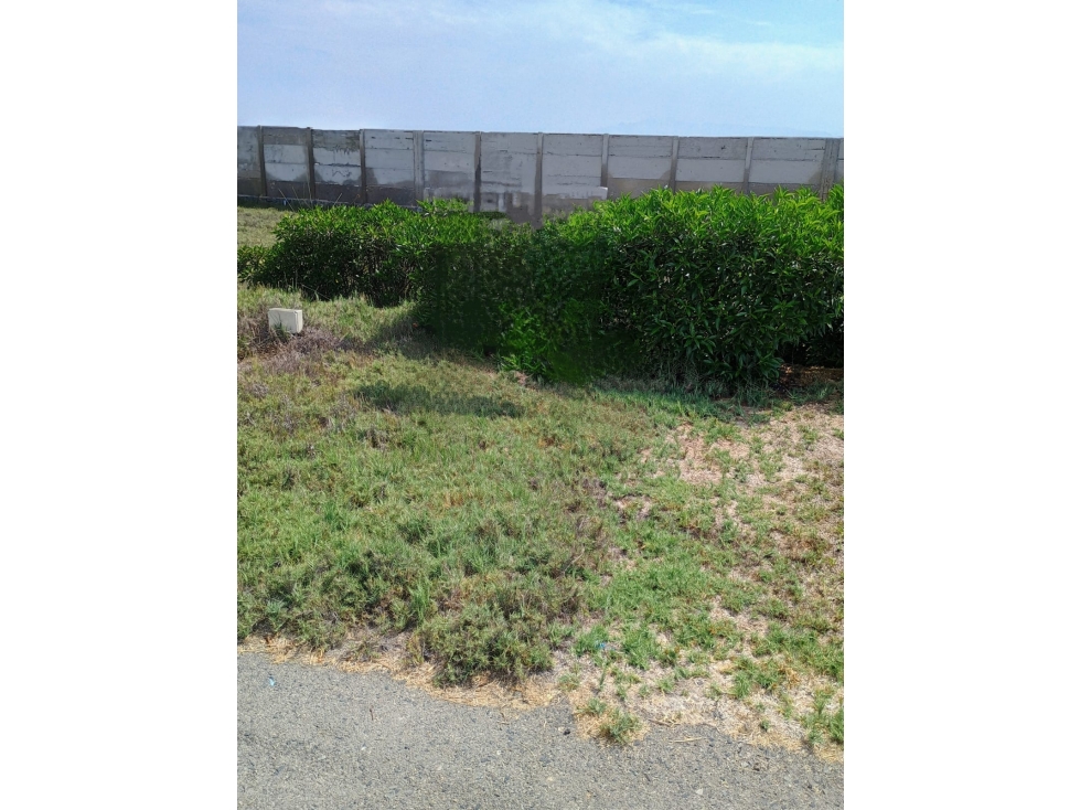 Terreno de Playa en Condominio Albatros - 2