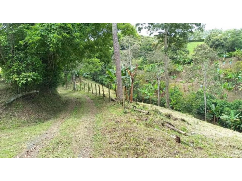 EN VENTA LOTE CAMPESTRE DE 10.000 M², SEMI PLANO, VÍA MORELIA — foto 3