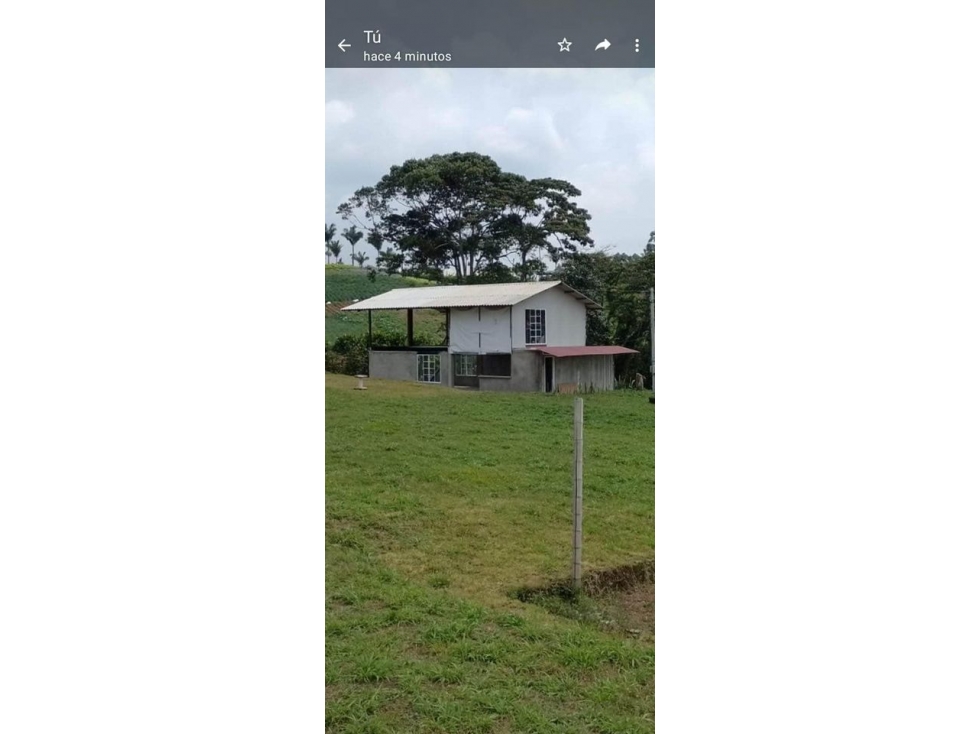 EN VENTA FINCA TERRENO PLANO, HERMOSAS VISUALES, EN LA FLORIDA PEREIRA — foto 5