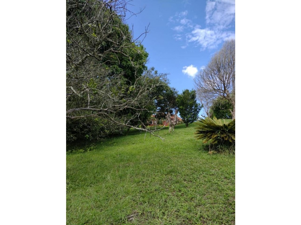 SE VENDE LOTE CAMPESTRE EN CONDOMINIO, SECTOR CERRITOS, PEREIRA — foto 2