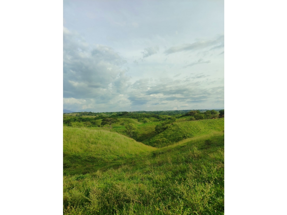EN VENTA ESPECTACULAR FINCA VÍA PEREIRA - LA VIRGINIA — foto 3