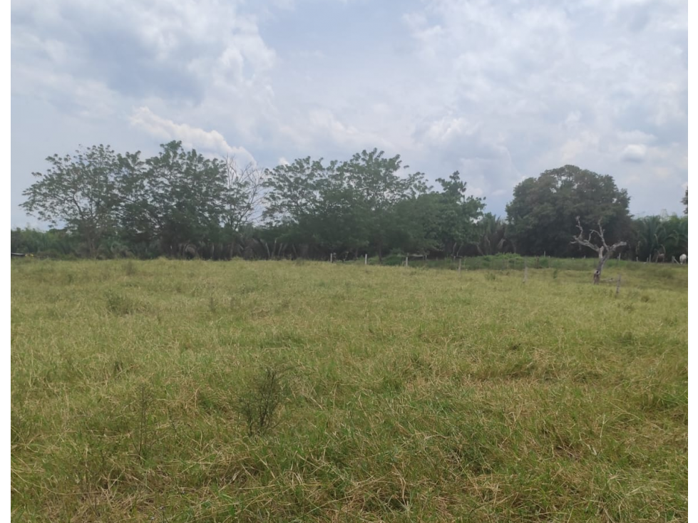 EN VENTA EXCLUSIVO LOTE CAMPESTRE EN CERRITOS, PEREIRA