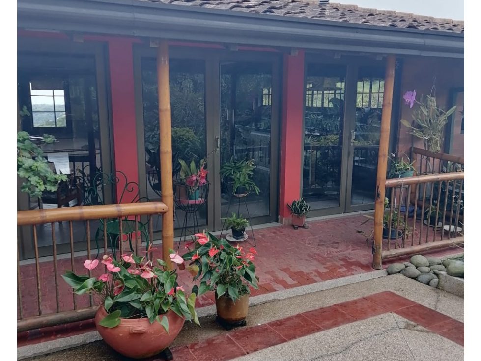FINCA DE CAFE ORGANICO 3 CASAS