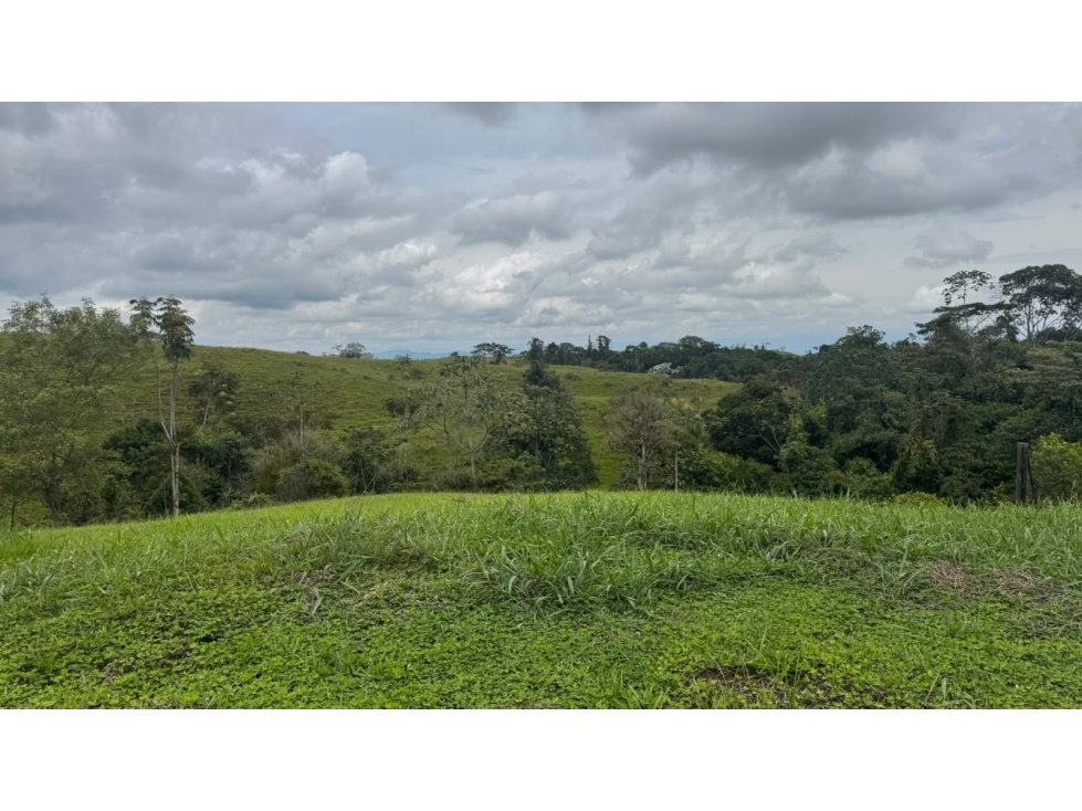 EN VEN-PERMUTA LOTE CAMPESTRE — foto 2