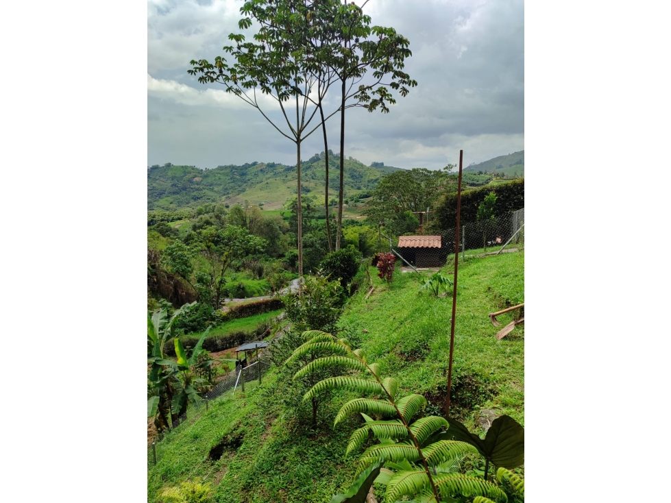 EN VEN-PERMUTA CASA CAMPESTRE, UBICACIÓN EN PEREIRA VIA LA FLORIDA — foto 6