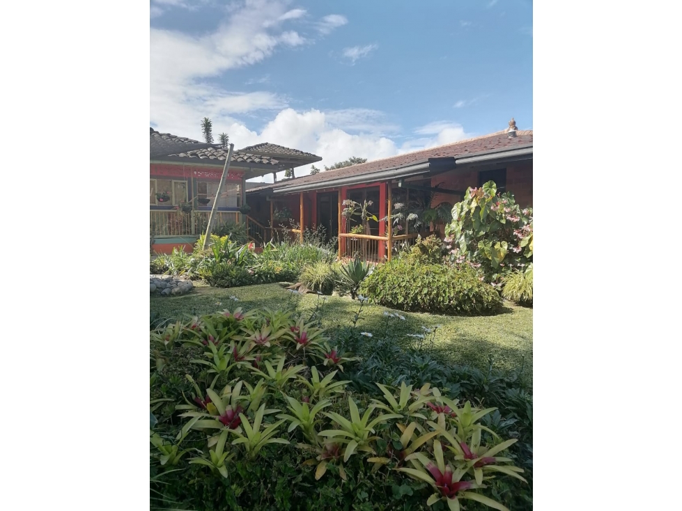 FINCA DE CAFE ORGANICO 3 CASAS — foto 6