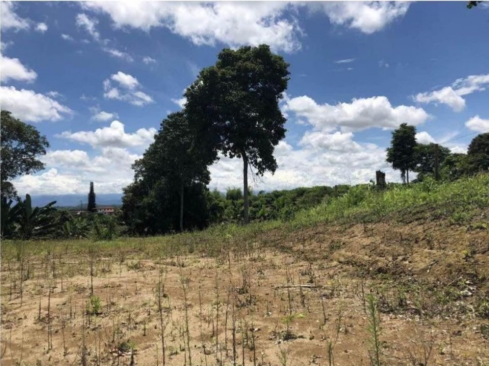EN VENTA LOTE CAMPESTRE DE 10.000 M², SEMI PLANO, VÍA MORELIA — foto 4