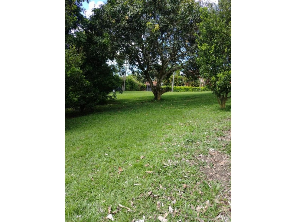 SE VENDE LOTE CAMPESTRE EN CONDOMINIO, SECTOR CERRITOS, PEREIRA — foto 3