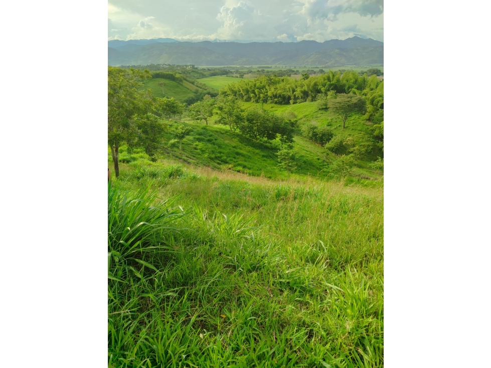 EN VENTA ESPECTACULAR FINCA VÍA PEREIRA - LA VIRGINIA — foto 4